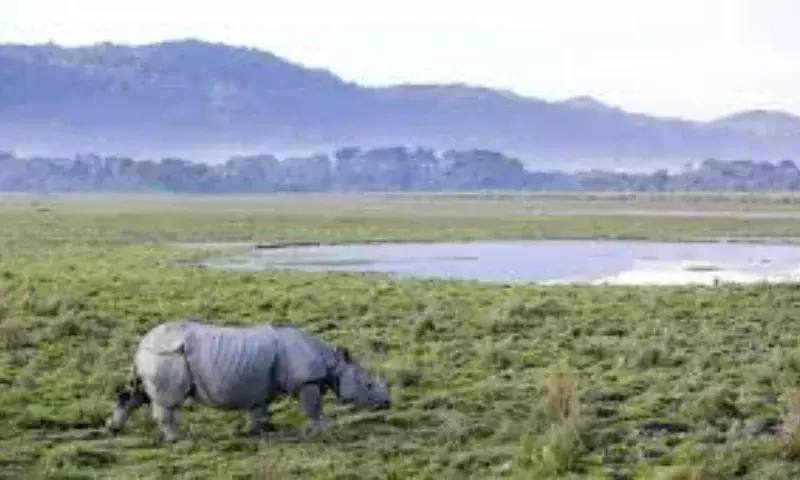 Assam में संरक्षित वन क्षेत्र में बदलाव के लिए कैबिनेट की मंजूरी अनिवार्य Assam में संरक्षित वन क्षेत्र में बदलाव के लिए कैबिनेट की मंजूरी अनिवार्य