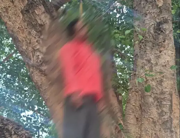 CG: बरगद के पेड़ पर लटका मिला युवक का शव, फैली सनसनी CG: बरगद के पेड़ पर लटका मिला युवक का शव, फैली सनसनी