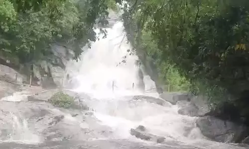 कोयंबटूर कोर्टालम अस्थायी रूप से बंद: वन विभाग की घोषणा कोयंबटूर कोर्टालम अस्थायी रूप से बंद: वन विभाग की घोषणा