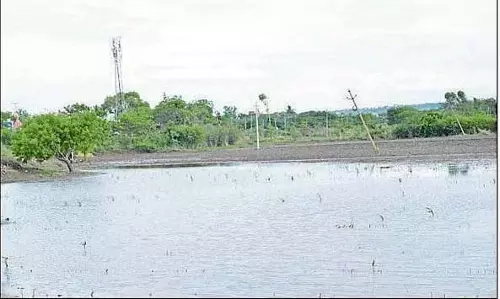 Bidar : लगातार बारिश से बढ़ी नमी