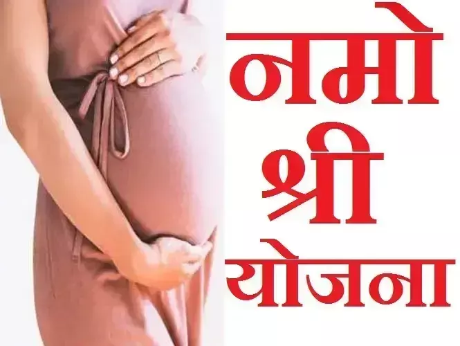 Rajpipla: मातृत्व सुरक्षा में मील का पत्थर साबित हो रही “नमोश्री” योजना Rajpipla: मातृत्व सुरक्षा में मील का पत्थर साबित हो रही “नमोश्री” योजना