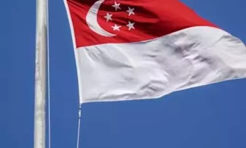 सिंगापुर में महंगाई दर अपेक्षा से अधिक सिंगापुर में महंगाई दर अपेक्षा से अधिक