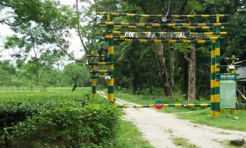 Bengal वन विभाग जंगलों में शाकाहारी जानवरों के लिए नए घास के मैदान बनाने की योजना Bengal वन विभाग जंगलों में शाकाहारी जानवरों के लिए नए घास के मैदान बनाने की योजना