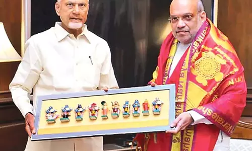 CM Chandrababu : अमरावती को राजधानी घोषित करें
