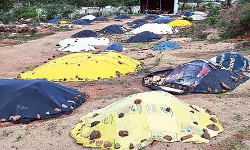 Telangana : अनाज क्रय केंद्रों पर अधिकारी बेबस Telangana : अनाज क्रय केंद्रों पर अधिकारी बेबस