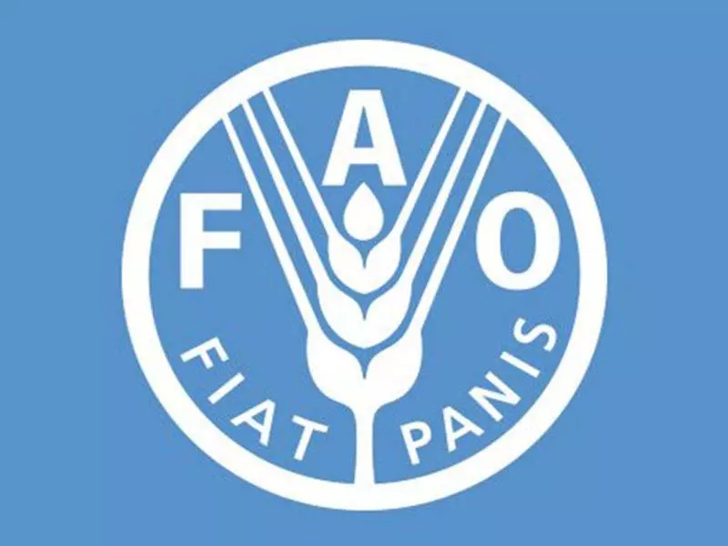 जल संकट से निपटने को गति, पैमाना और संकल्प जरूरी: FAO जल संकट से निपटने को गति, पैमाना और संकल्प जरूरी: FAO