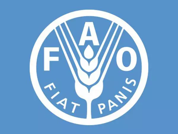 FAO ने कहा - पानी की कमी से निपटने के लिए गति, पैमाने और दृढ़ संकल्प की आवश्यकता है FAO ने कहा - पानी की कमी से निपटने के लिए गति, पैमाने और दृढ़ संकल्प की आवश्यकता है