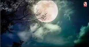 Jyeshtha Amavasya 2025 Upay: ज्येष्ठ अमावस्या पर करें अपने पितरों को प्रसन्न, बनने लगेंगे आपके सारे बिगड़े काम Jyeshtha Amavasya 2025 Upay: ज्येष्ठ अमावस्या पर करें अपने पितरों को प्रसन्न, बनने लगेंगे आपके सारे बिगड़े काम