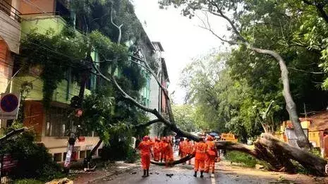 Kerala में मानसून ने पकड़ी रफ्तार, मौसम विभाग ने 11 जिलों में रेड अलर्ट जारी Kerala में मानसून ने पकड़ी रफ्तार, मौसम विभाग ने 11 जिलों में रेड अलर्ट जारी