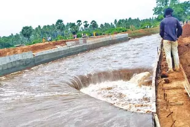 लोअर Bhavani जलाशय में जलस्तर बढ़ा लोअर Bhavani जलाशय में जलस्तर बढ़ा