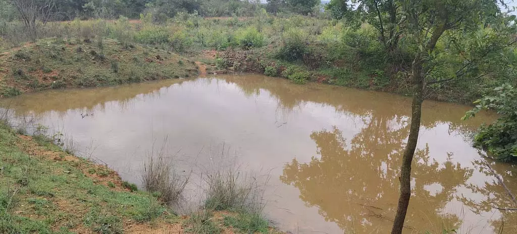 Karnataka : मैदानी इलाकों के किसानों के लिए खेती वरदान साबित हुई Karnataka : मैदानी इलाकों के किसानों के लिए खेती वरदान साबित हुई