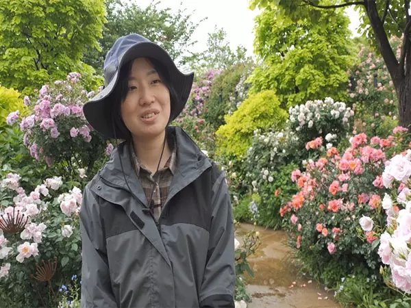 Yokohama रंग-बिरंगे गुलाबों और हरी-भरी हरियाली से खिल उठा Yokohama रंग-बिरंगे गुलाबों और हरी-भरी हरियाली से खिल उठा