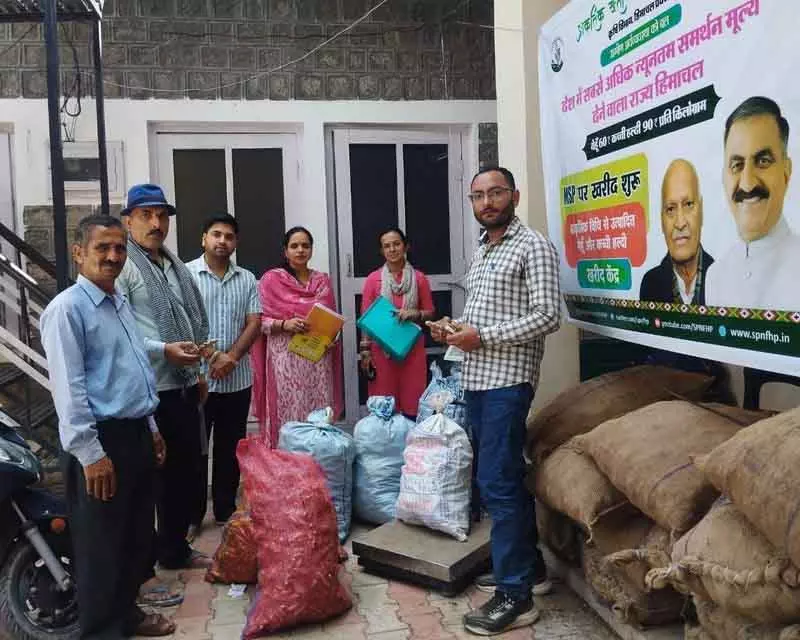 Chamba की प्राकृतिक हल्दी को मिला सुनहरा अवसर Chamba की प्राकृतिक हल्दी को मिला सुनहरा अवसर