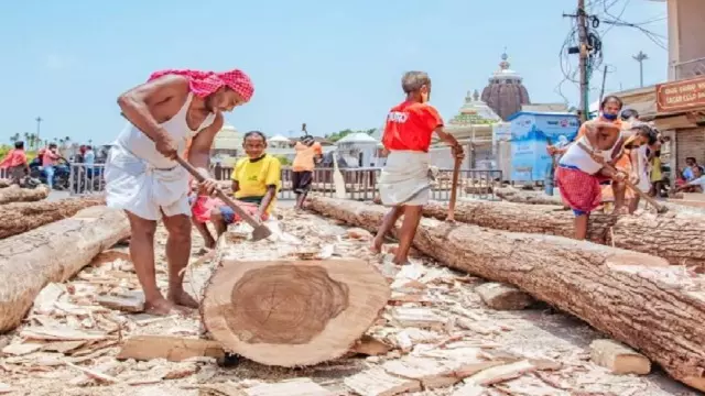 Rath Yatra 2025 के लिए रथ निर्माण का काम जोरों पर Rath Yatra 2025 के लिए रथ निर्माण का काम जोरों पर