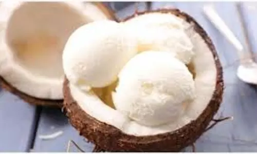 Coconut Ice Cream :  जानिए घर पर कैसे बनाएं स्वादिष्ट आइसक्रीम