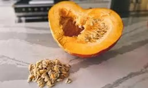 Pumpkin seeds: कद्दू के बीज फेंकने की गलती न करें, जानें बालों के विकास में कैसे मदद करते हैं