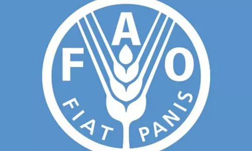 जल संकट से निपटने को गति, पैमाना और संकल्प जरूरी: FAO