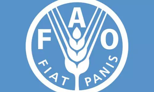 FAO ने कहा - पानी की कमी से निपटने के लिए गति, पैमाने और दृढ़ संकल्प की आवश्यकता है FAO ने कहा - पानी की कमी से निपटने के लिए गति, पैमाने और दृढ़ संकल्प की आवश्यकता है