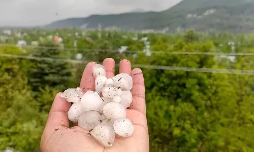 Shopian, कुलगाम गांवों में ओलावृष्टि से फसलों को नुकसान Shopian, कुलगाम गांवों में ओलावृष्टि से फसलों को नुकसान