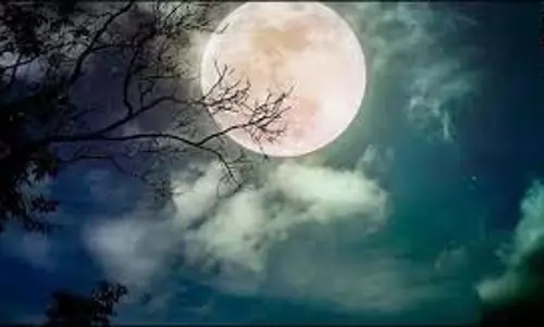 Jyeshtha Amavasya 2025 Upay: ज्येष्ठ अमावस्या पर करें अपने पितरों को प्रसन्न, बनने लगेंगे आपके सारे बिगड़े काम