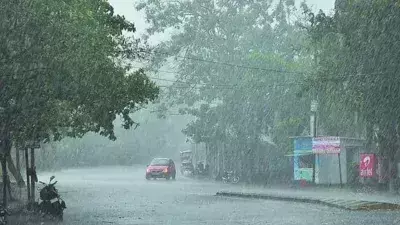 Uttarakhand: IMD ने जारी किया बारिश और भूस्खलन का अलर्ट, सावधान रहें