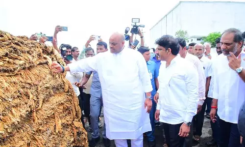 Andhra के कृषि मंत्री ने किसानों से तम्बाकू का पूरा स्टॉक खरीदने का वादा किया Andhra के कृषि मंत्री ने किसानों से तम्बाकू का पूरा स्टॉक खरीदने का वादा किया