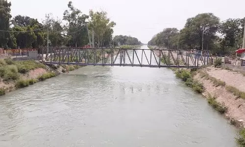 भाखड़ा का पानी सिरसा, Fatehabad के किसानों को राहत पहुंचाएगा भाखड़ा का पानी सिरसा, Fatehabad के किसानों को राहत पहुंचाएगा
