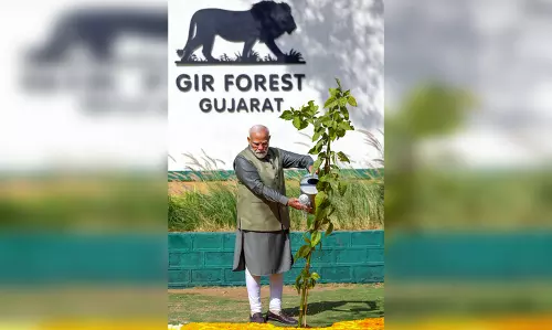 पीएम मोदी ने मन की बात में बताया, पांच वर्षों में गुजरात के गिर में कैसे बढ़ी शेरों की संख्या? पीएम मोदी ने मन की बात में बताया, पांच वर्षों में गुजरात के गिर में कैसे बढ़ी शेरों की संख्या?