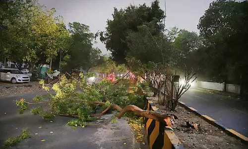 Jalandhar में तूफान ने मचाई तबाही, यात्री घायल, वाहन क्षतिग्रस्त Jalandhar में तूफान ने मचाई तबाही, यात्री घायल, वाहन क्षतिग्रस्त
