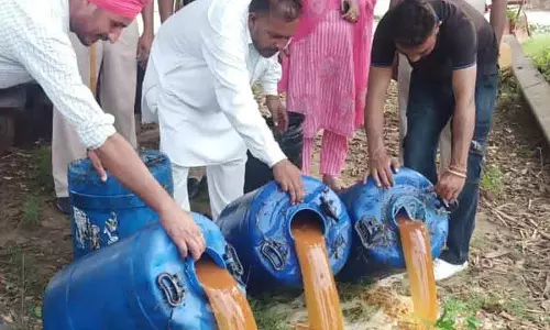 Punjab: आबकारी विभाग और पुलिस ने छापेमारी कर अवैध शराब और लाहन बरामद किया