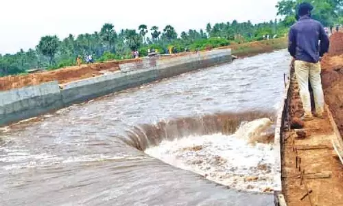 लोअर Bhavani जलाशय में जलस्तर बढ़ा