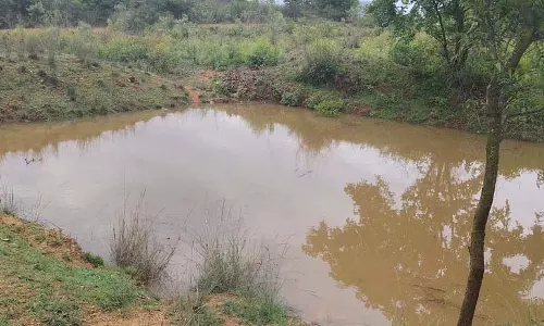 Karnataka : मैदानी इलाकों के किसानों के लिए खेती वरदान साबित हुई Karnataka : मैदानी इलाकों के किसानों के लिए खेती वरदान साबित हुई