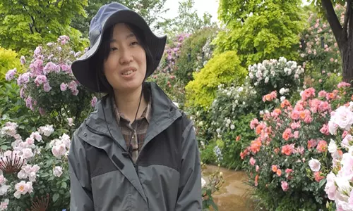 Yokohama रंग-बिरंगे गुलाबों और हरी-भरी हरियाली से खिल उठा