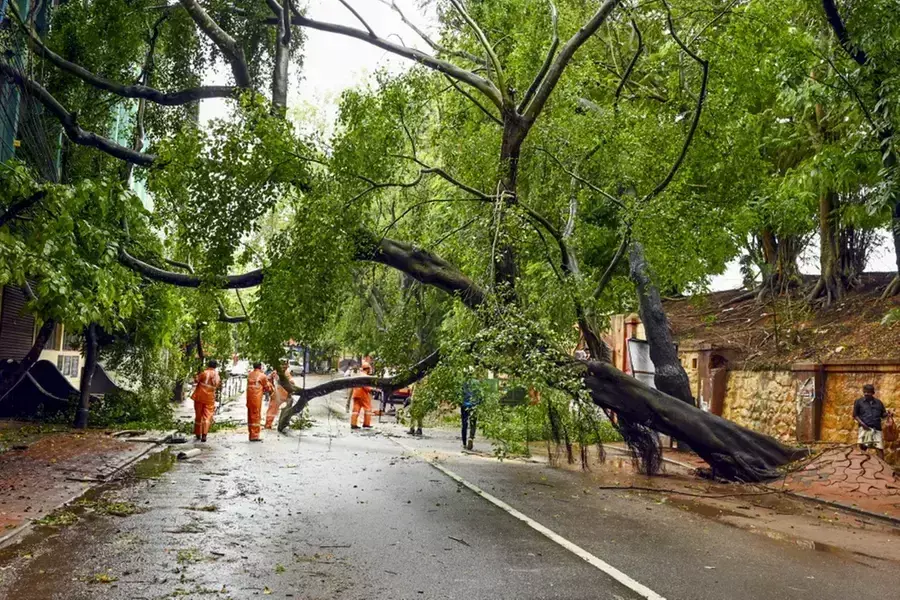 Kerala में भारी बारिश जारी पेड़ उखड़ गए, नदियां उफान पर; ऊंची लहरें उठने का अनुमान
