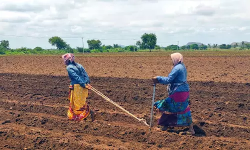 कुरुगोड़ में अच्छी बारिश: कृषि गतिविधियां जोरों पर कुरुगोड़ में अच्छी बारिश: कृषि गतिविधियां जोरों पर