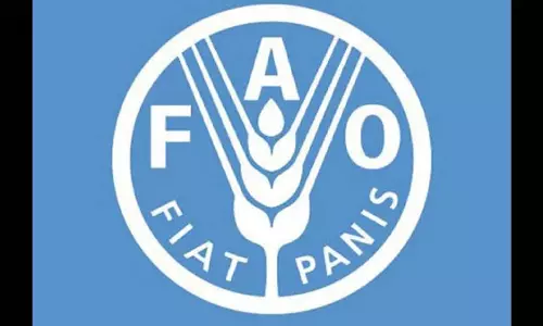 जल संकट से निपटने को गति, पैमाना और संकल्प जरूरी: FAO