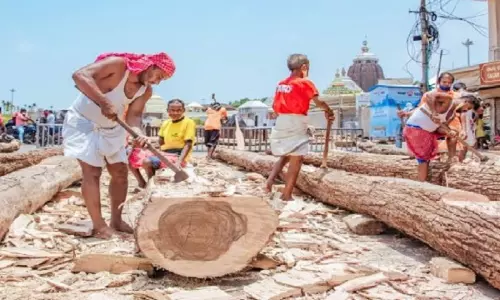 Rath Yatra 2025 के लिए रथ निर्माण का काम जोरों पर Rath Yatra 2025 के लिए रथ निर्माण का काम जोरों पर