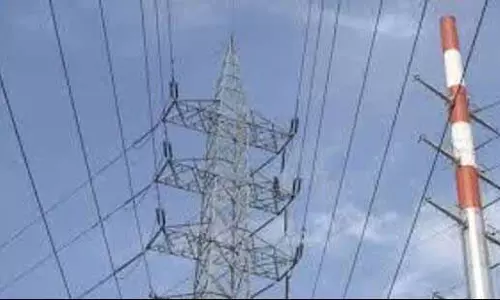 Ludhiana: नौकरी मांग को लेकर PSPCL कर्मचारी हड़ताल पर