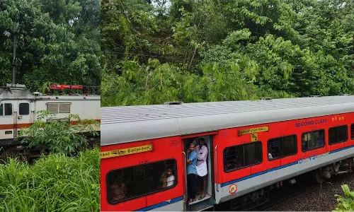 Thrissur से गुजरते समय जामनगर-तिरुनेलवेली एक्सप्रेस पर पेड़ गिरा Thrissur से गुजरते समय जामनगर-तिरुनेलवेली एक्सप्रेस पर पेड़ गिरा