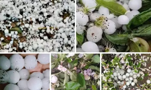 Shopian में मौसम का कहर, कई गांवों में ओलावृष्टि
