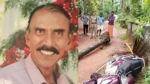 Kozhikode में नारियल का पेड़ स्कूटर पर गिरने से एक व्यक्ति की मौत Kozhikode में नारियल का पेड़ स्कूटर पर गिरने से एक व्यक्ति की मौत