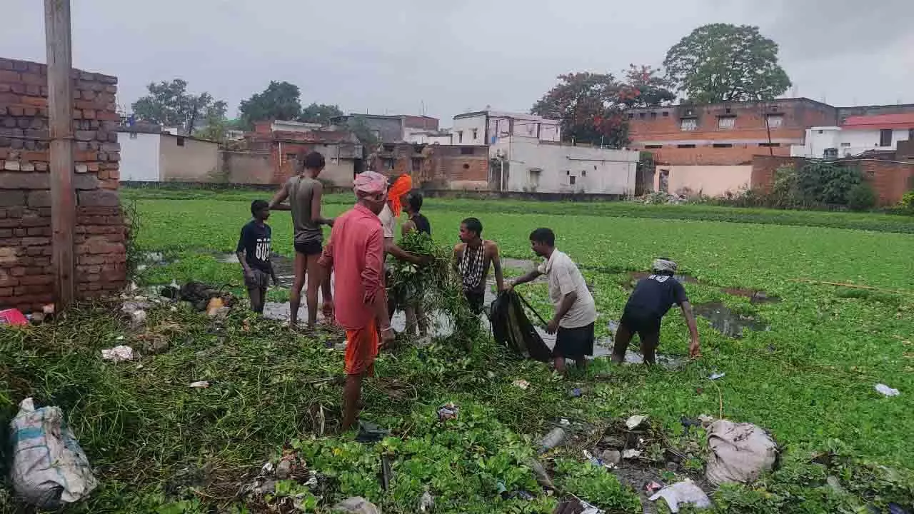 रायपुर : सतबहनिया तालाब जलकुंभी मुक्त रायपुर : सतबहनिया तालाब जलकुंभी मुक्त