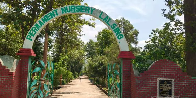103 साल पुराने भंजनगर डीएफओ कार्यालय को जल्द मिलेगा नया पता 103 साल पुराने भंजनगर डीएफओ कार्यालय को जल्द मिलेगा नया पता