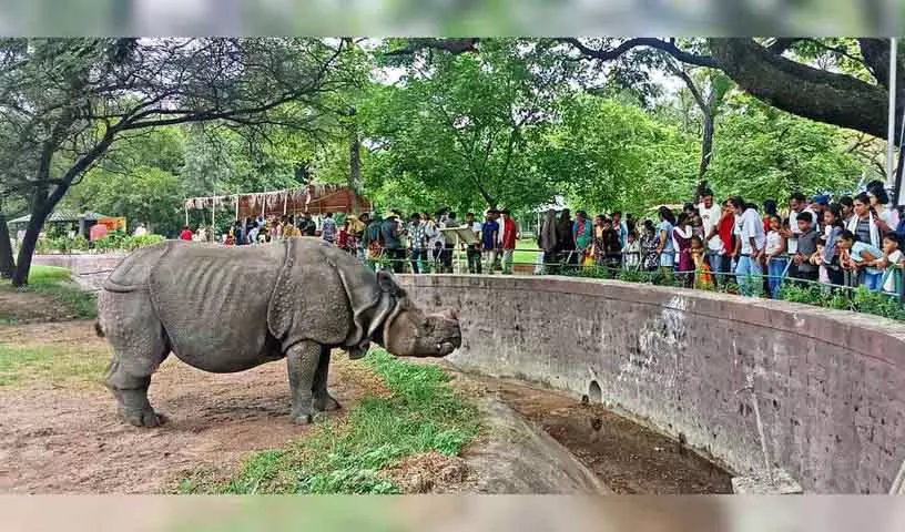 25 मई को Hyderabad के नेहरू प्राणी उद्यान में 24,000 से अधिक लोग उमड़े 25 मई को Hyderabad के नेहरू प्राणी उद्यान में 24,000 से अधिक लोग उमड़े