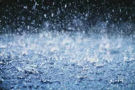 बारिश में बढ़ता है वात और पित्त दोष, जानें आयुर्वेदिक उपाय बारिश में बढ़ता है वात और पित्त दोष, जानें आयुर्वेदिक उपाय