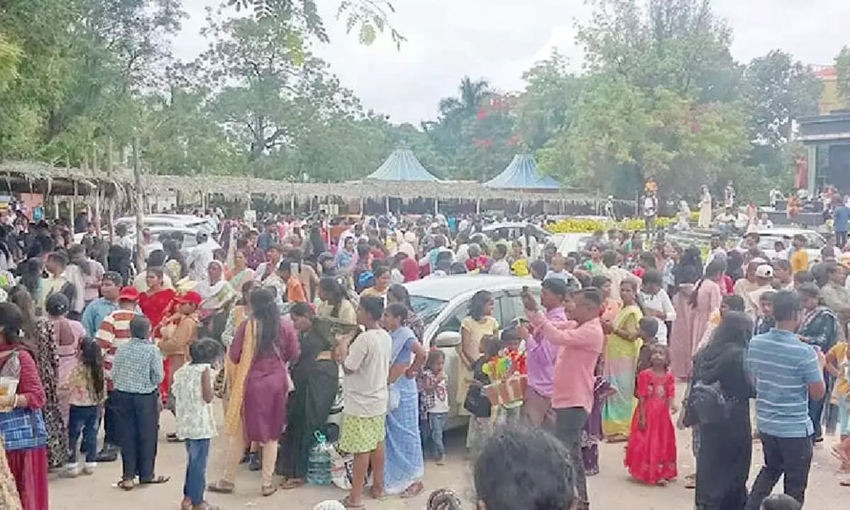 नेहरू जूलॉजिकल पार्क में रिकॉर्ड 24 हजार पशु प्रेमी पहुंचे नेहरू जूलॉजिकल पार्क में रिकॉर्ड 24 हजार पशु प्रेमी पहुंचे