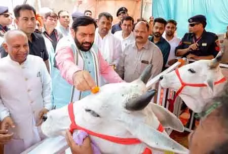 Haryana CM ने किसानों से उर्वरकों और कीटनाशकों के अत्यधिक उपयोग से बचने का आग्रह किया Haryana CM ने किसानों से उर्वरकों और कीटनाशकों के अत्यधिक उपयोग से बचने का आग्रह किया