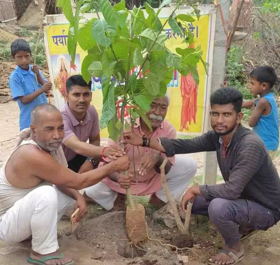 चैती दुर्गा मंदिर परिसर पिपरिया में आयोजित किया गया पौधारोपण चैती दुर्गा मंदिर परिसर पिपरिया में आयोजित किया गया पौधारोपण