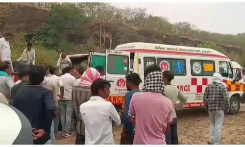 OMG! अफसर पर मधुमक्खियों के झुंड ने हमला किया, 500 डंक मारे