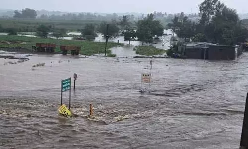 Maharashtra: मानसून ने दिखाई रफ्तार, केरल से पहुंचा सिर्फ एक दिन में Maharashtra: मानसून ने दिखाई रफ्तार, केरल से पहुंचा सिर्फ एक दिन में